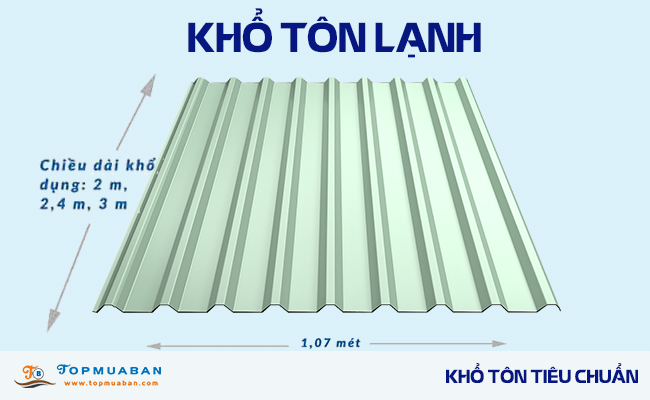 Khổ tôn lạnh